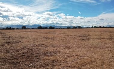 Terreno en Venta 35 has en Ocampo, Gto., plano y con represa.