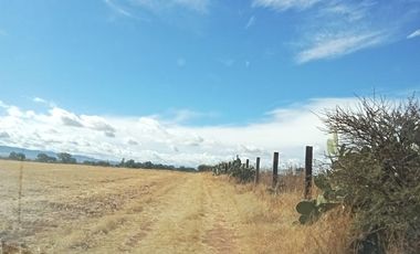 Terreno en Venta 35 has en Ocampo, Gto., plano y con represa.