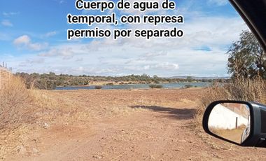 Terreno en Venta 35 has en Ocampo, Gto., plano y con represa.