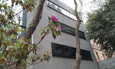 OPORTUNIDAD RENTA OFICINAS TINTORETO CDMX