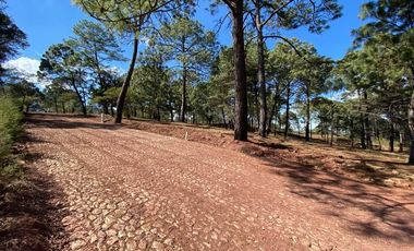 Terrenos en Venta Fraccionamiento Bosque Real Mazamitla Jalisco