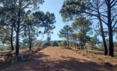 Terrenos en Venta Fraccionamiento Bosque Real Mazamitla Jalisco