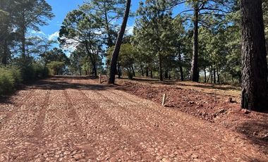 Terrenos en Venta Fraccionamiento Bosque Real Mazamitla Jalisco