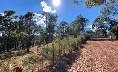 Terrenos en Venta Fraccionamiento Bosque Real Mazamitla Jalisco