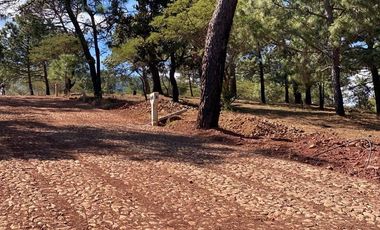 Terrenos en Venta Fraccionamiento Bosque Real Mazamitla Jalisco