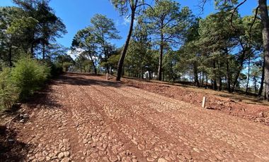 Terrenos en Venta Fraccionamiento Bosque Real Mazamitla Jalisco