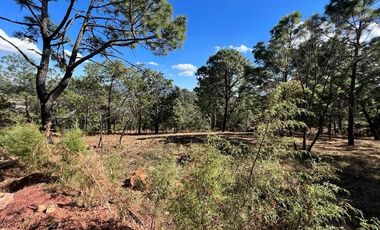 Terrenos en Venta Fraccionamiento Bosque Real Mazamitla Jalisco