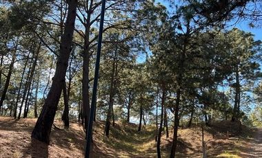 Terrenos en Venta Fraccionamiento Bosque Real Mazamitla Jalisco