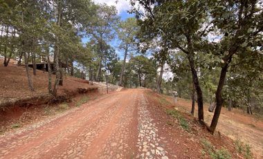Terrenos en Venta Fraccionamiento Bosque Real Mazamitla Jalisco