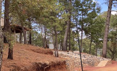Terrenos en Venta Fraccionamiento Bosque Real Mazamitla Jalisco