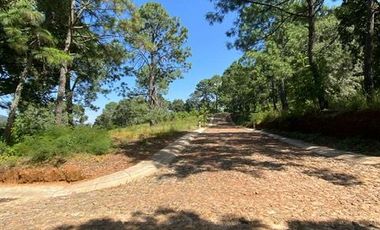 Terrenos en Venta Mazamitla Jalisco Fraccionamiento Santa Barbara