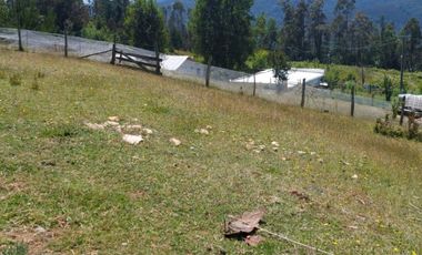 Terreno en Loncoche