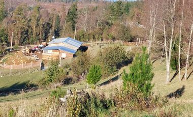 Terreno en Loncoche