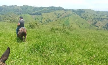Venta Finca Ganadera en Caracolí Antioquia