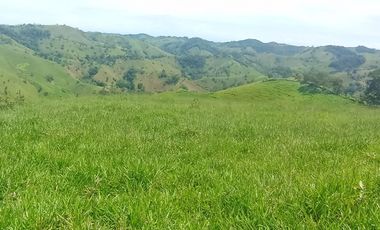 Venta Finca Ganadera en Caracolí Antioquia