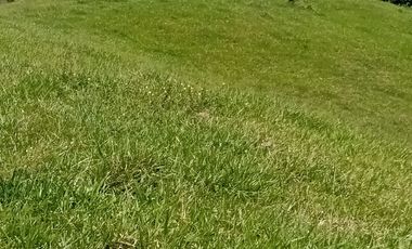 Venta Finca Ganadera en Caracolí Antioquia