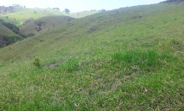 Venta Finca Ganadera en Caracolí Antioquia