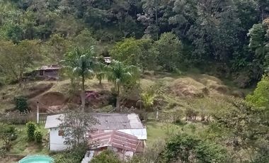 Venta Finca Ganadera y Agrícola San Roque Antioquia