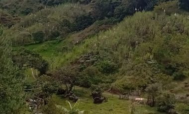 Venta Finca Ganadera y Agrícola San Roque Antioquia