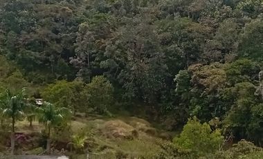 Venta Finca Ganadera y Agrícola San Roque Antioquia