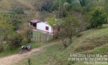Venta Finca Ganadera y Agrícola San Roque Antioquia