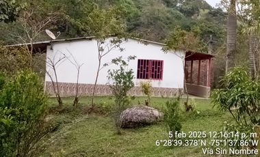Venta Finca Ganadera y Agrícola San Roque Antioquia