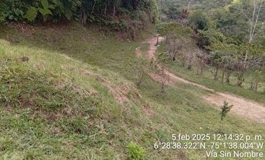 Venta Finca Ganadera y Agrícola San Roque Antioquia