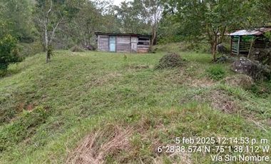 Venta Finca Ganadera y Agrícola San Roque Antioquia