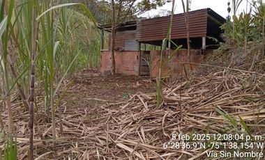 Venta Finca Ganadera y Agrícola San Roque Antioquia