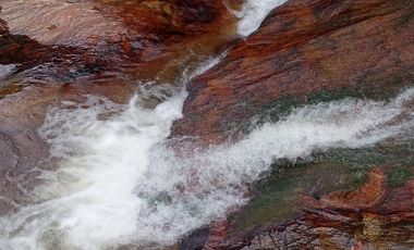 Venta Finca Ganadera y Agrícola San Roque Antioquia