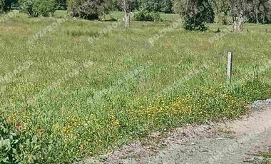 Vende Parcela Osorno