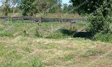 Vende Parcela Osorno