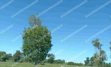 Vende Parcela Osorno