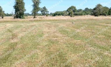 Vende Parcela Osorno