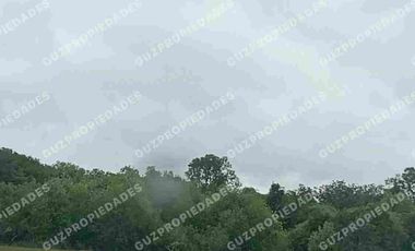 Vende Parcela Osorno