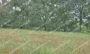 Vende Parcela Osorno