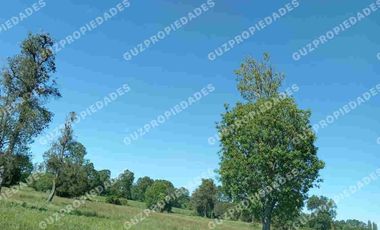 Vende Parcela Osorno