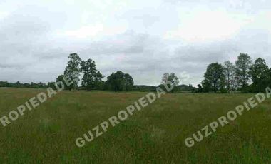 Vende Parcela Osorno