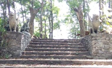 Jual villa murah di hargobinangun kaliurang sleman yogyakarta