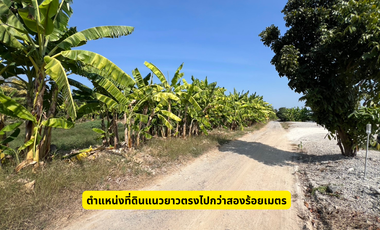 Perfect for investment, building your dream home, or agricultural use! Land is becoming increasingly rare, and its value is only rising! For sale: Lan