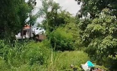 Tanah commercial di Rungkut Surabaya Timur