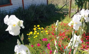 Venta De Bella Parcela En Melipilla
