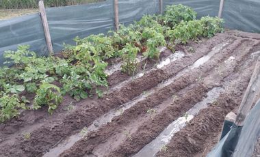 Venta De Bella Parcela En Melipilla