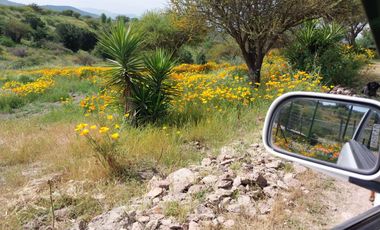 Venta De Bella Parcela En Melipilla