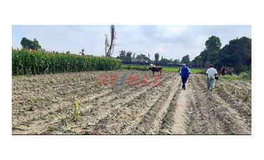 1122956 Terreno Agricola Luriama Distrito De Santa Maria