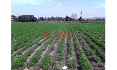 1122956 Terreno Agricola Luriama Distrito De Santa Maria