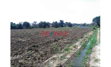 1122956 Terreno Agricola Luriama Distrito De Santa Maria