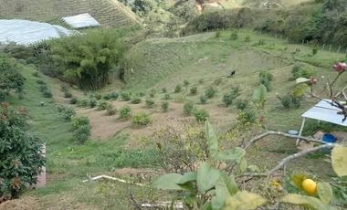 Venta Casa Finca en Marinilla Antioquia