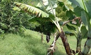 Venta Casa Finca en Marinilla Antioquia