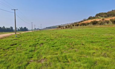Parcelas de 5.000 m² en María Pinto con red de luz y agua operativas, portería habilitada y rol propio